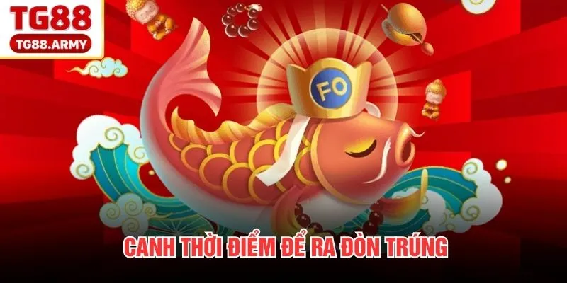 Canh thời điểm để ra đòn trúng