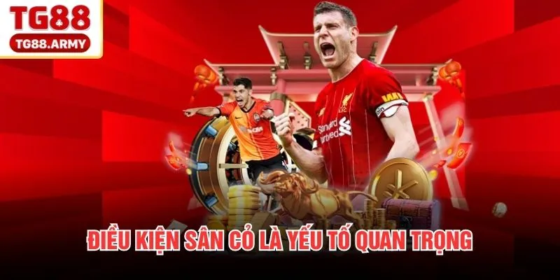 Điều kiện sân cỏ là yếu tố quan trọng