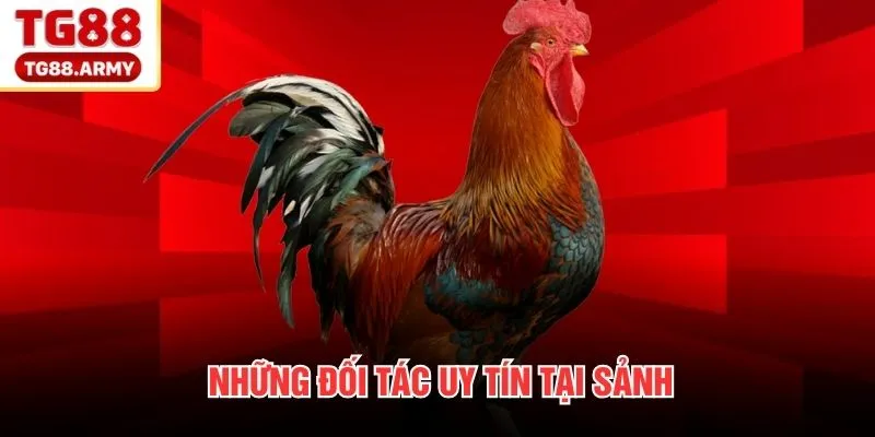 Những đối tác uy tín tại sảnh