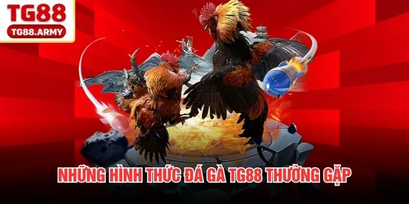 Những hình thức đá gà TG88 thường gặp